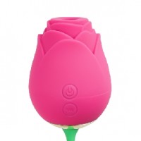 Rose Clitoral Sucking with Vibrating Egg Silicone 10-Speed PINK